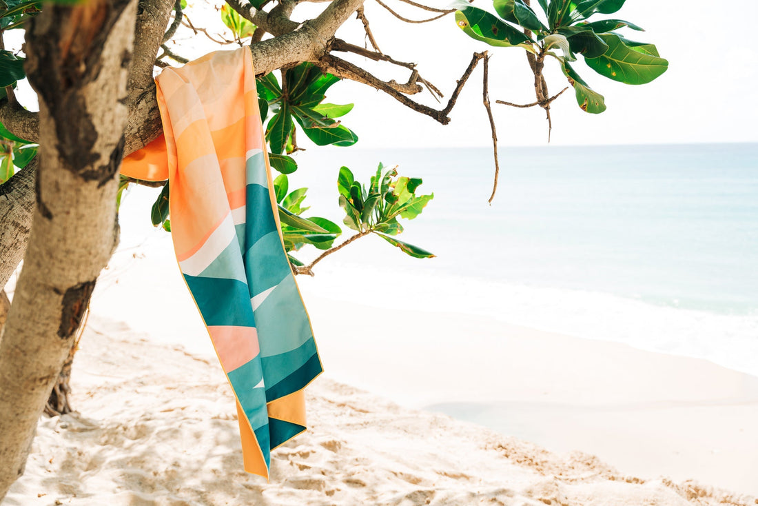 Why We’re Backing Cotton in Conversion: Sustainable Style That’s Built for Adventure